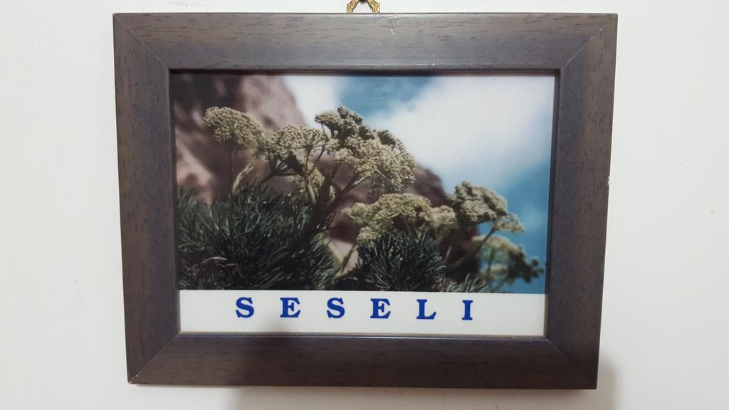 מלון מארטימו Isoladelmiele מראה חיצוני תמונה